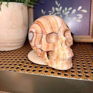 HUGE 5” Red “Woodlike”Crystal Skull